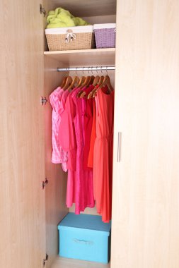 Female clothes on hangers in wardrobe