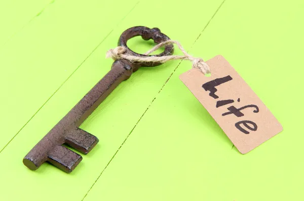 Key to life, Conceptual photo. On color wooden background — Stock Photo, Image