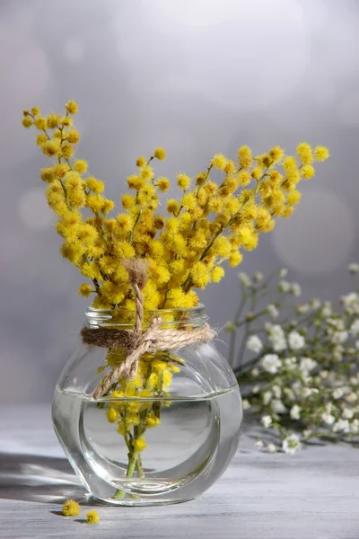 Kvistar av mimosa blommor i vas på träbord — Stockfoto