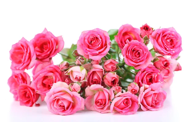Vackra små rosa rosor, isolerad på vit — Stockfoto