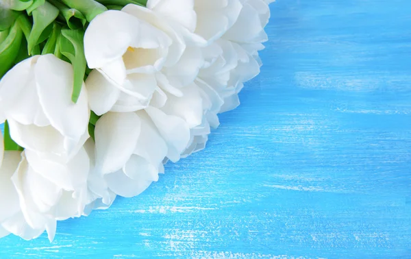 Beau bouquet de tulipes blanches sur fond bleu — Photo