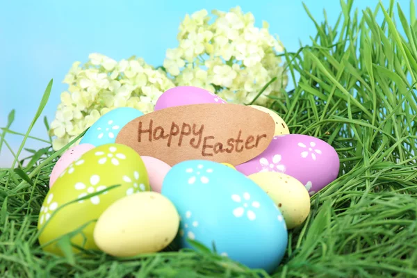 Composición de Pascua con huevos sobre hierba verde, sobre fondo azul — Foto de Stock