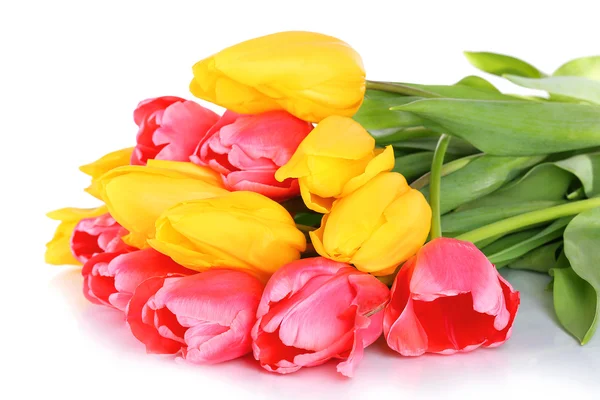 Tulipani rosa e gialli isolati su bianco — Foto Stock