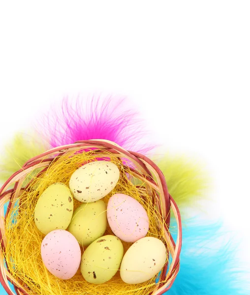 Ovos de Páscoa em ninho e penas decorativas, isolados em branco — Fotografia de Stock
