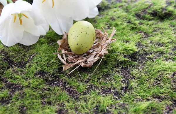 Paskalya yortusu yumurta yuvada yeşil çim zemin üzerine — Stok fotoğraf