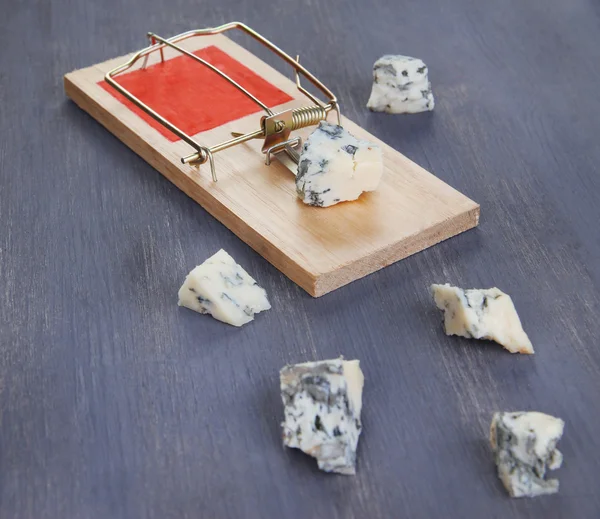 Mousetrap com queijo sobre fundo de madeira — Fotografia de Stock