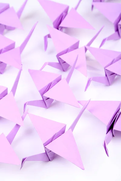 Gruas de Origami sobre fundo branco — Fotografia de Stock