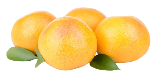 Rijp grapefruit geïsoleerd op wit — Stockfoto