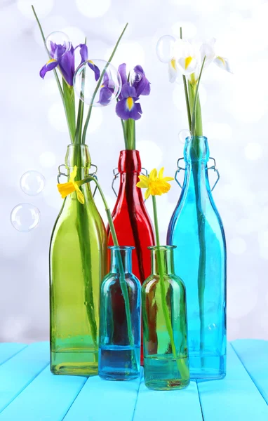 Beautiful irises and daffodils in bottles, on light background — Stock Photo, Image