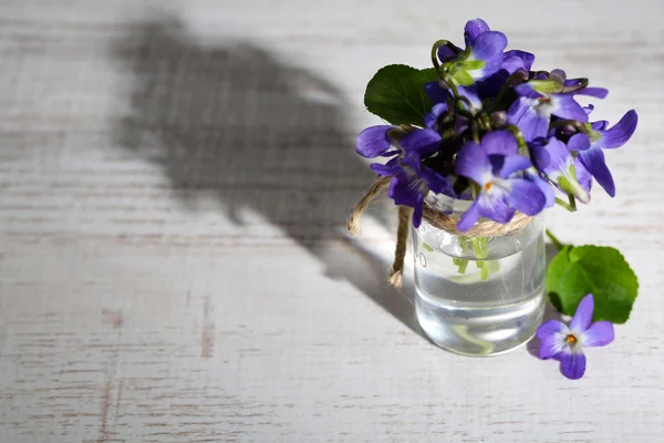 Viole fiori sul tavolo di legno — Foto Stock