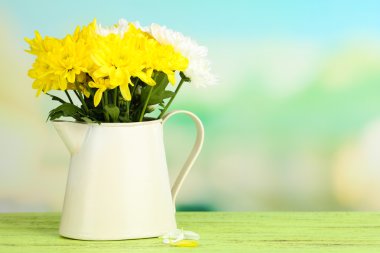 atıcı doğal zemin üzerine güzel Kasımpatı çiçeği.