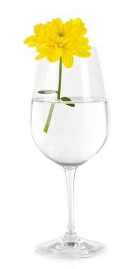 su üzerinde beyaz izole çiçek