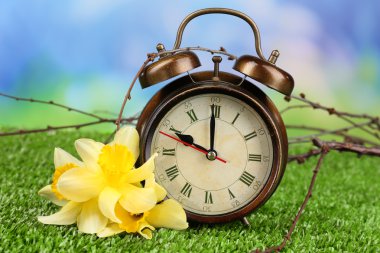 çalar saat doğa zemin üzerine yeşil çimenlerin üzerinde