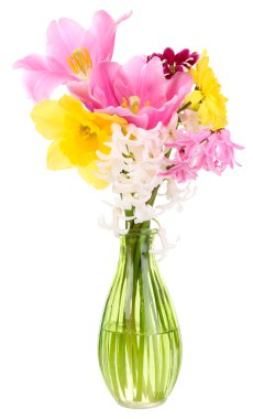 güzel çiçekler Vazoda beyaz izole