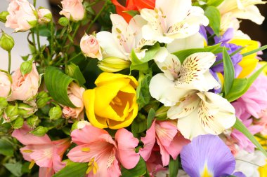 Güzel çiçekler kapanıyor.