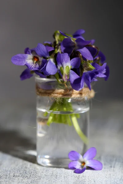 Flores violetas sobre fondo gris —  Fotos de Stock