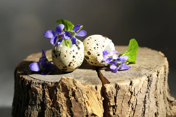 Komposisi Paskah dengan bunga violet dalam cangkang telur, tutup — Stok Foto