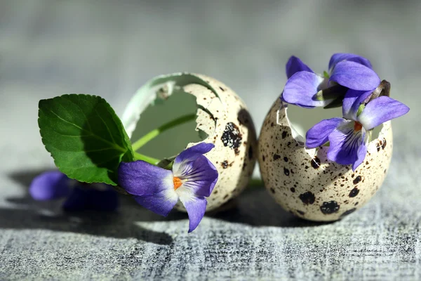 Великодня композиція з фіолетовими квітами в яєчних мушлях на дерев'яному столі — стокове фото