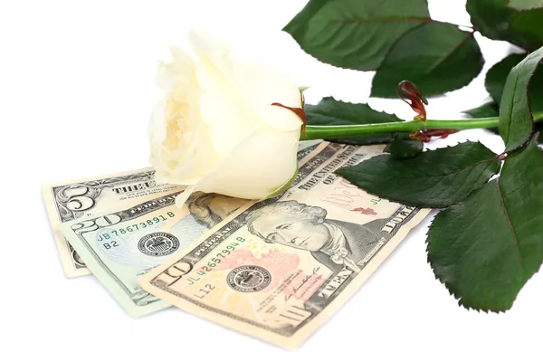 Piękną różę i pieniędzy, na białym tle — Zdjęcie stockowe