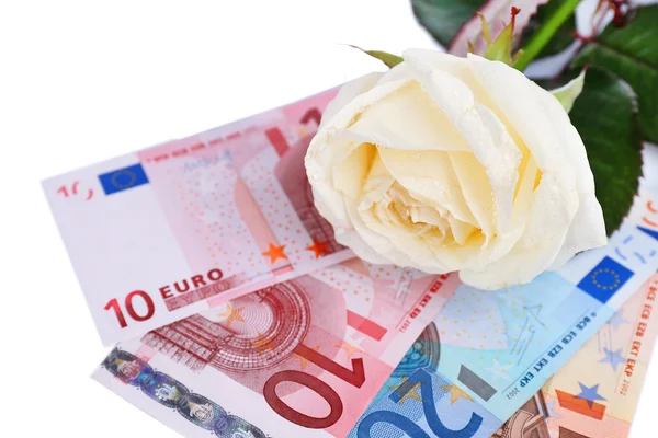 Beautiful rose and money, isolated on white — Stock fotografie