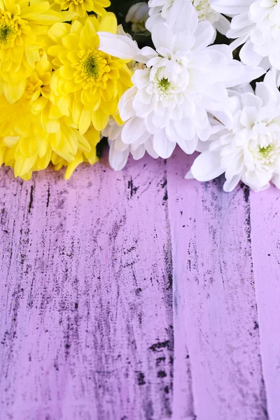 Vackra chrysanthemum blommor på träbord närbild — Stockfoto