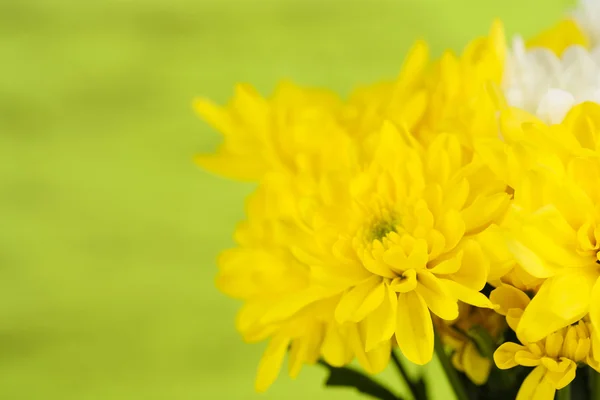 Schöne Chrysanthemenblumen auf Holzgrund — Stockfoto