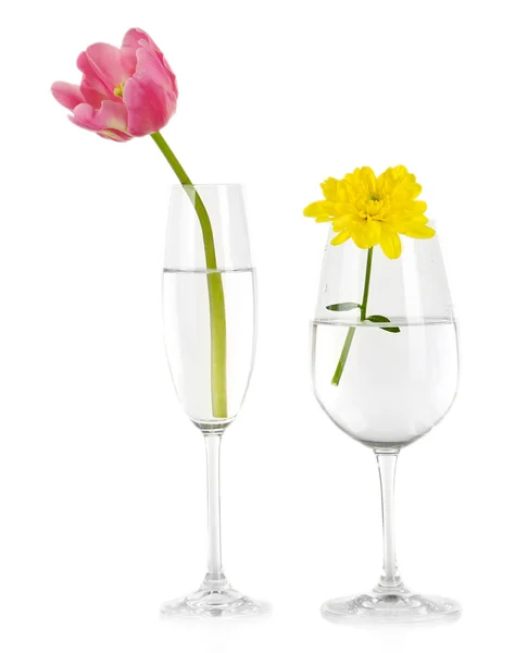 Flowers in glasses of water isolated on white — Stock Photo, Image