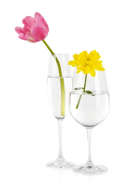 Цветы в стаканах воды изолированы на белом — стоковое фото