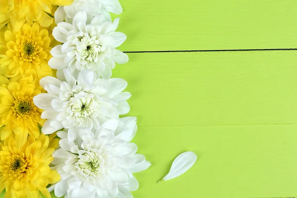 Schöne Chrysanthemenblüten auf Holztisch in Großaufnahme — Stockfoto