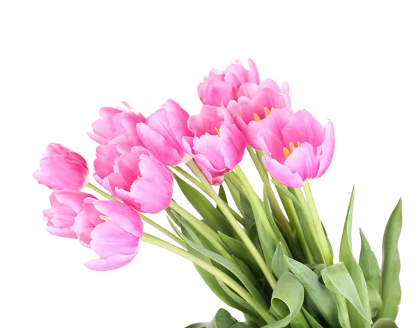 Beautiful pink tulips, isolated on white — Stock Photo, Image