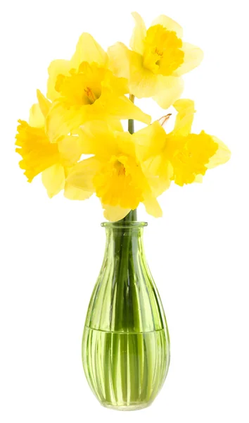 Lindas flores em vaso isolado em branco — Fotografia de Stock