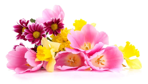 Hermosas flores aisladas en blanco — Foto de Stock