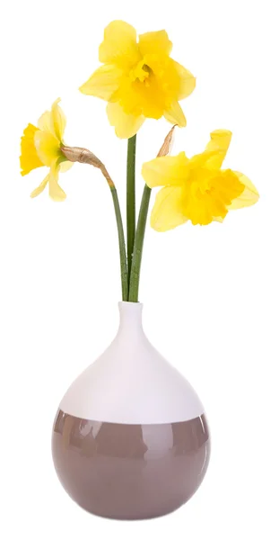Vackra blommor i vas isolerad på vit — Stockfoto