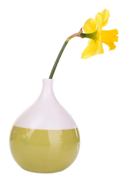 Schöne Blume in der Vase isoliert auf weiß — Stockfoto