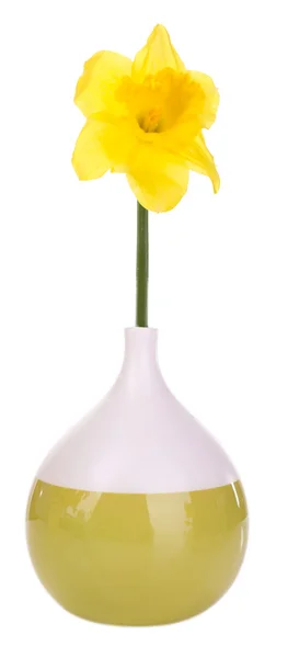 Beautiful flower in vase isolated on white — Stock Photo, Image