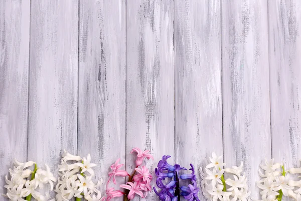 Красиві гіацинти на кольоровому дерев'яному фоні — стокове фото