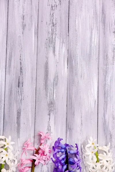 Krásný hyacinty na barevné dřevěné pozadí — Stock fotografie