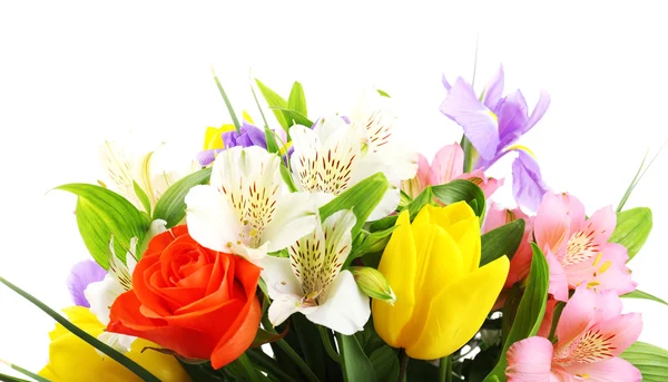 Hermosas flores aisladas en blanco — Foto de Stock