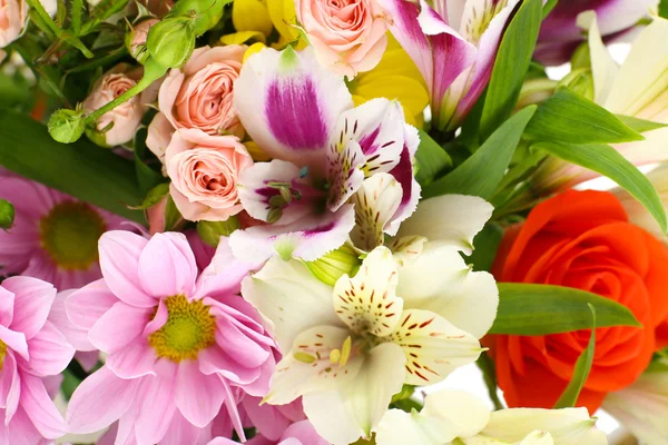 Schöne Blumen aus nächster Nähe — Stockfoto