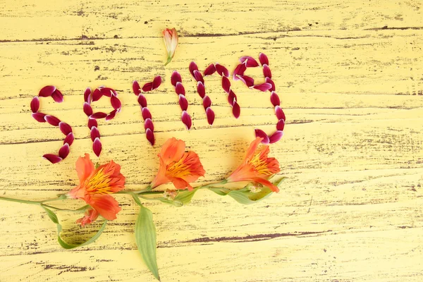 Romantiche lettere primaverili fatte di petali rosa, su sfondo di legno a colori — Foto Stock