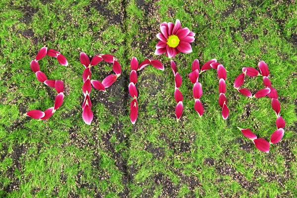 Romantic spring letters made of pink petals, on grass background — Stock Photo, Image