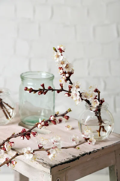 Beautiful apricot blossom in transparent jars on grey wall background — Stock Photo, Image