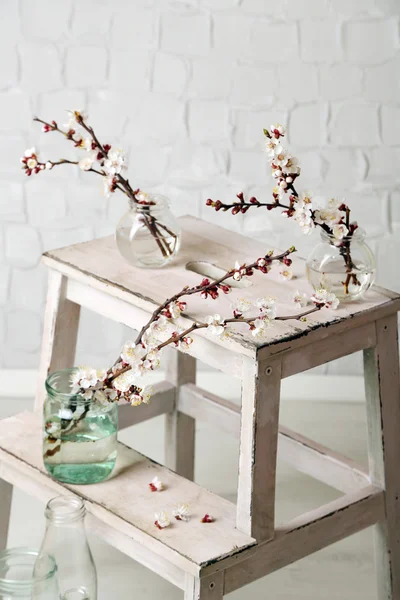 Bellissimo fiore di albicocca in vasetti trasparenti su fondo grigio — Foto Stock