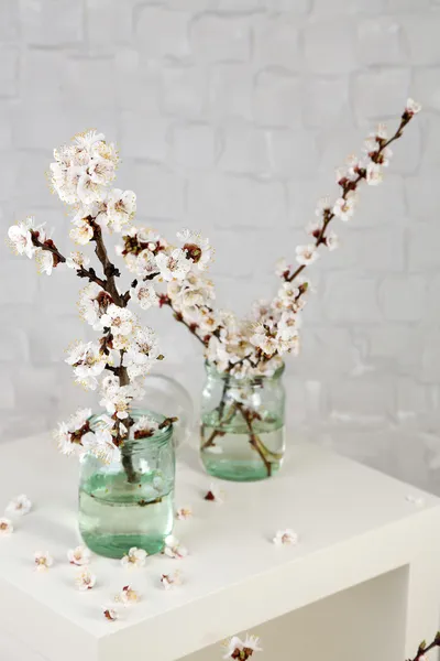 Beautiful apricot blossom in transparent jars on grey wall background — Stock Photo, Image