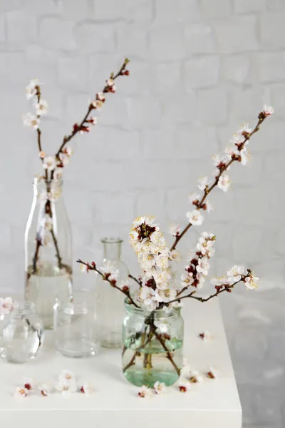 灰色の壁の背景に透明な瓶に美しいアンズの花 — ストック写真