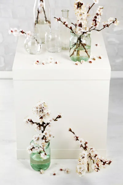 Beautiful apricot blossom in transparent jars on grey wall background — Stock Photo, Image