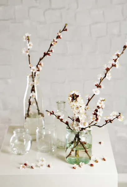 Hermosa flor de albaricoque en frascos transparentes sobre fondo de pared gris —  Fotos de Stock