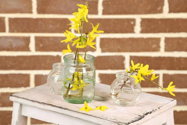 Beautiful Forsythia blossom in transparent jars on brick wall background — Stock Photo, Image
