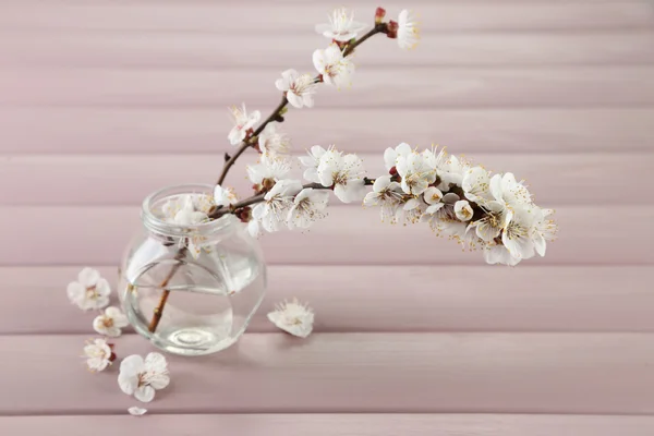 Beautiful apricot blossom in transparent jar on wooden background — Stock Photo, Image