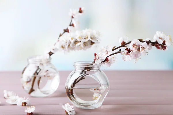 Bellissimo fiore di albicocca in vasetti trasparenti su tavolo di legno, su fondo chiaro — Foto Stock